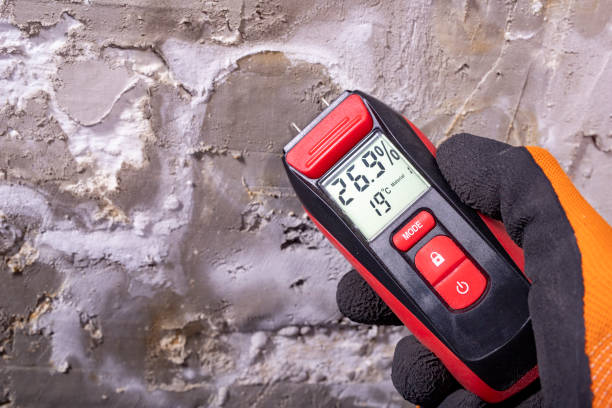 Professional Mold Removal in Hammond, LA