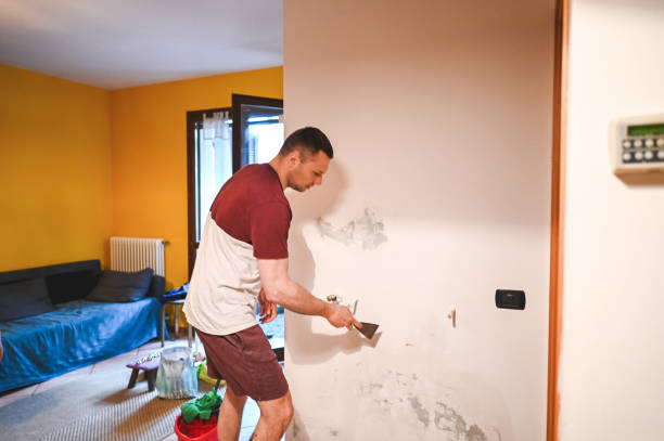 Best Toxic Mold Removal  in Hammond, LA
